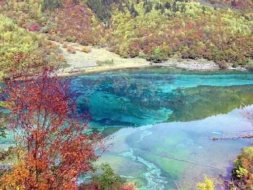 宝可梦探险寻宝